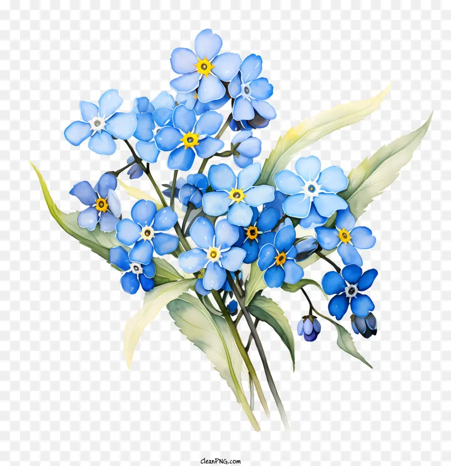 لا تنساني زهرة，الزهور الزرقاء PNG