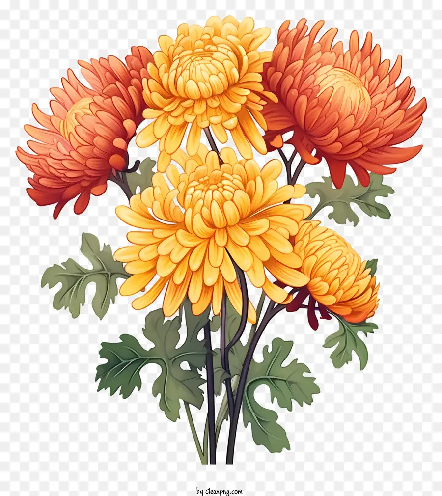 الأقحوان，الزهور البرتقالية والأصفر PNG