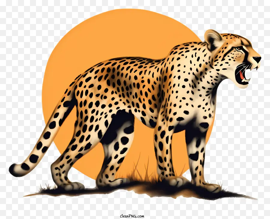لوحة الفهد，فنون الحياة البرية PNG