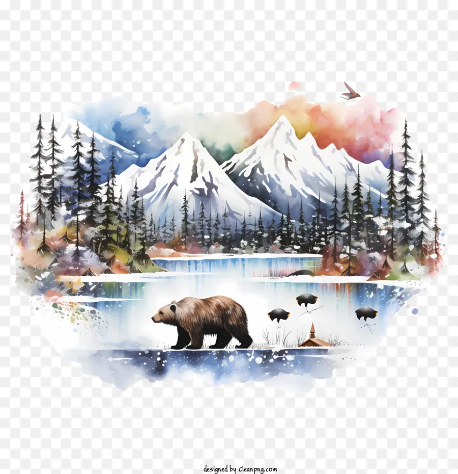 ألاسكا اليوم，الدب PNG