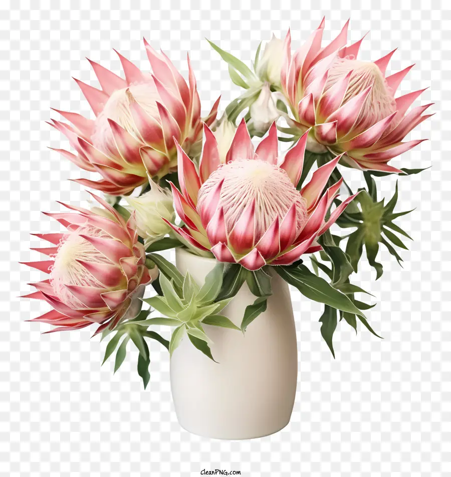 زهور البروتا الوردي，زهرية بيضاء PNG