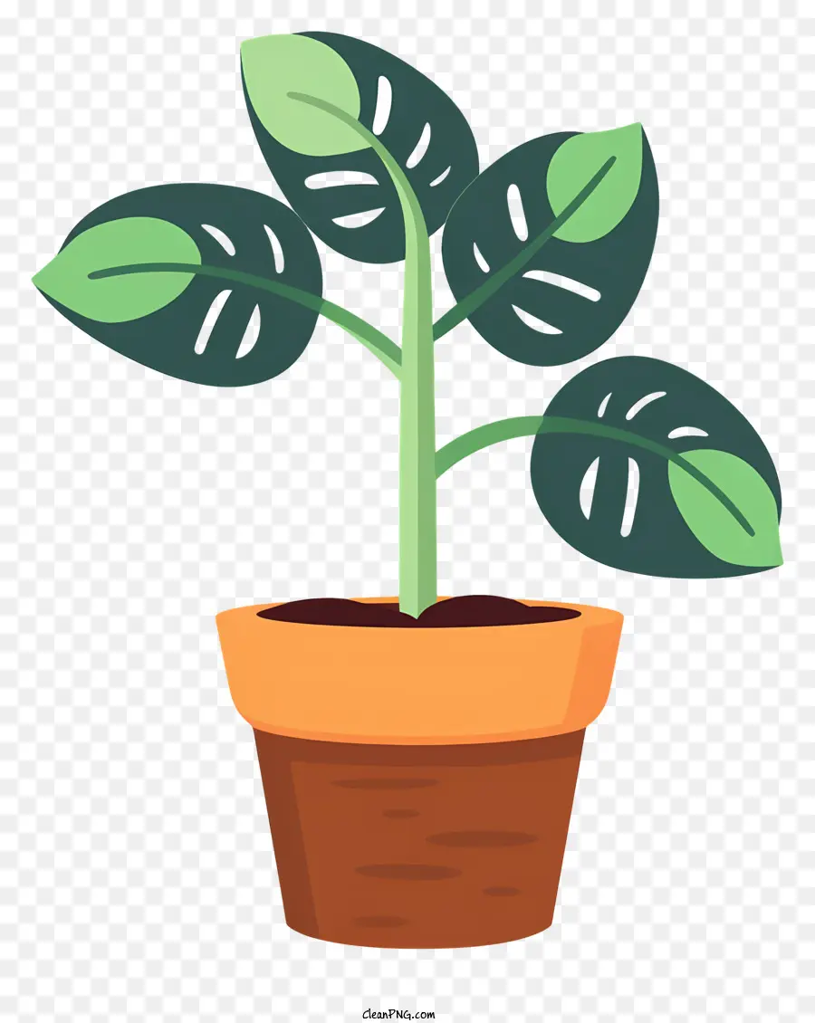 يمكن للنبات，نبات الورق PNG