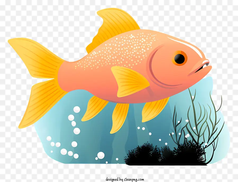 الأسماك，الماء PNG