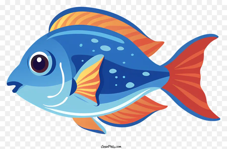 الكرتون الأسماك，الأسماك الأزرق والبرتقالي PNG