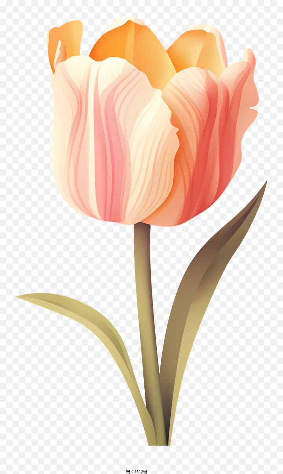 الخزامي الوردي，رمزية الزهرة PNG
