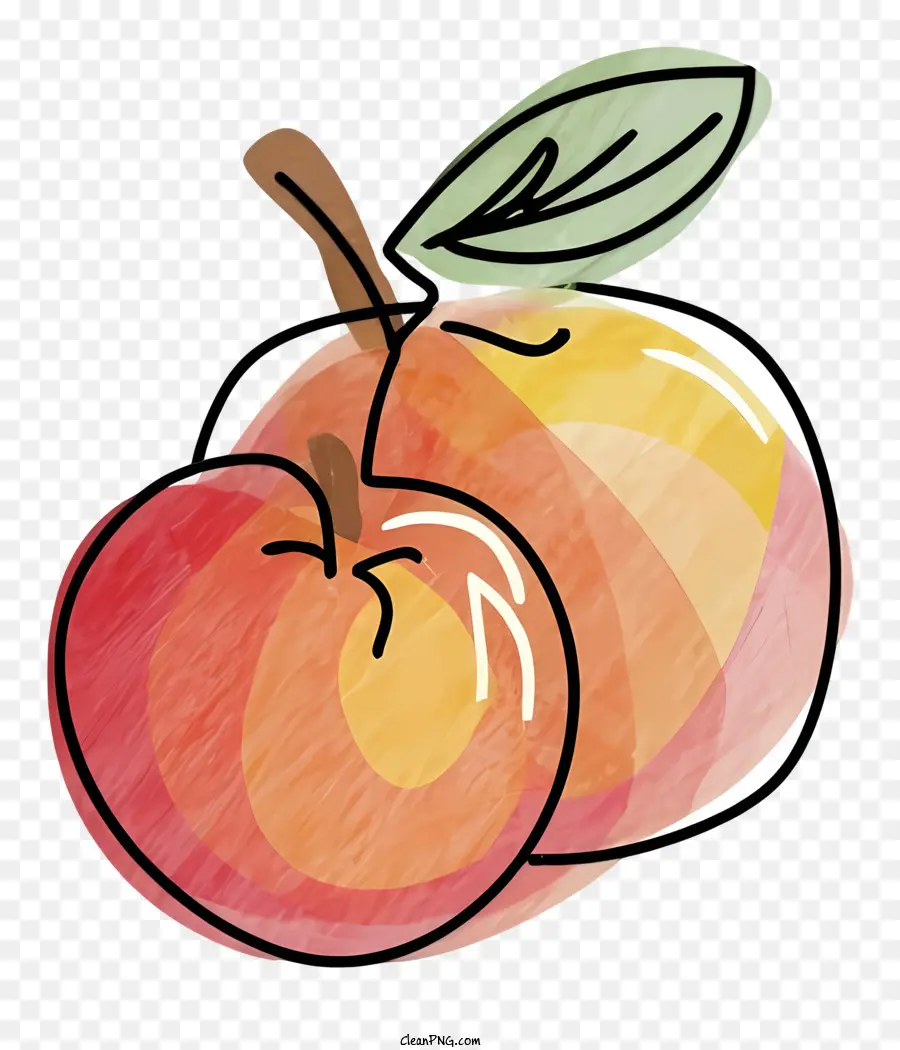 1 التفاح，2 لون برتقالي PNG