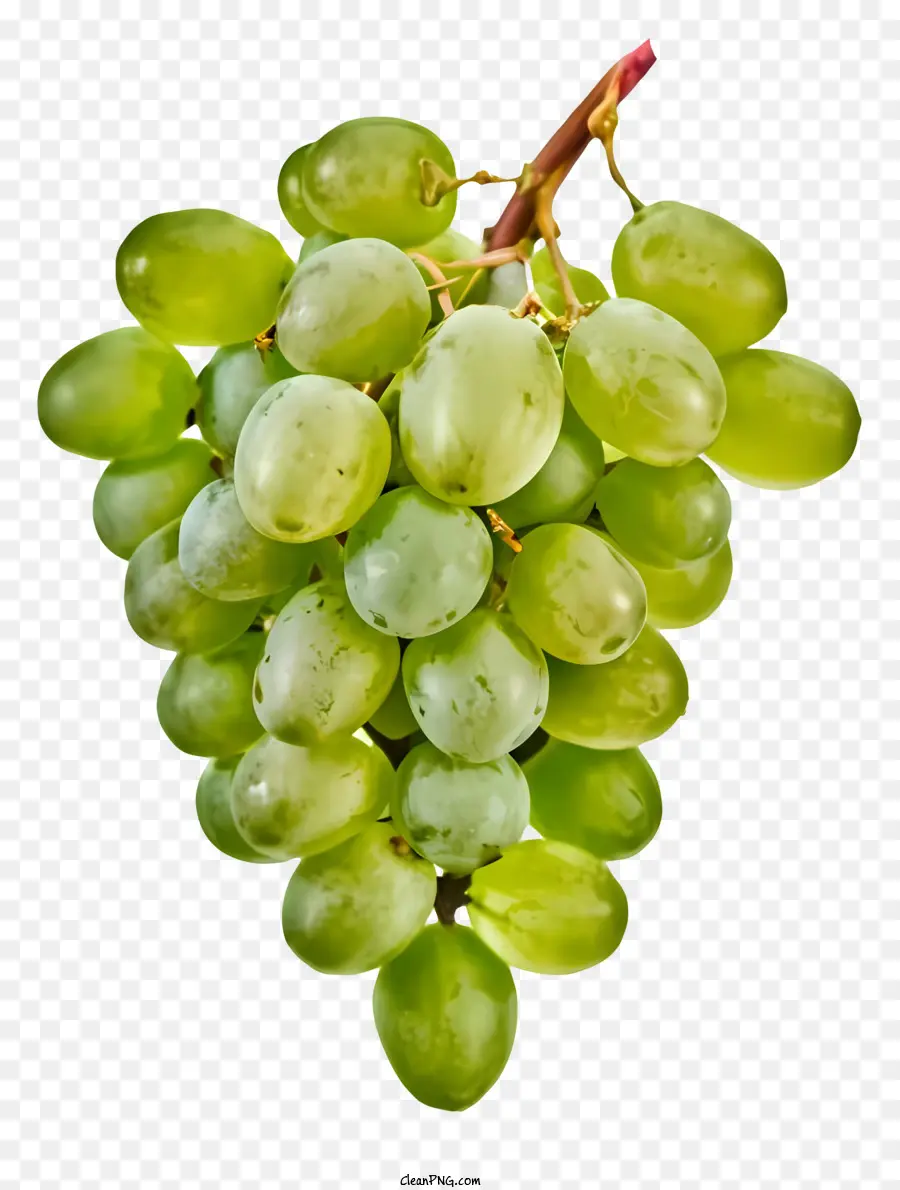 العنب الأخضر，مجموعة من العنب PNG