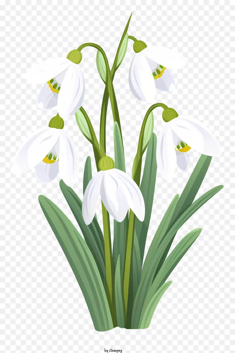 الزهور البيضاء，الأوراق الخضراء ، PNG