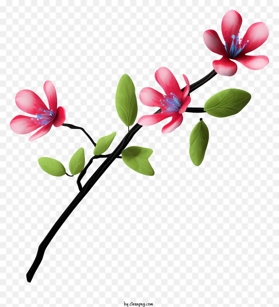 الزهور الوردية，الأوراق الخضراء ، PNG