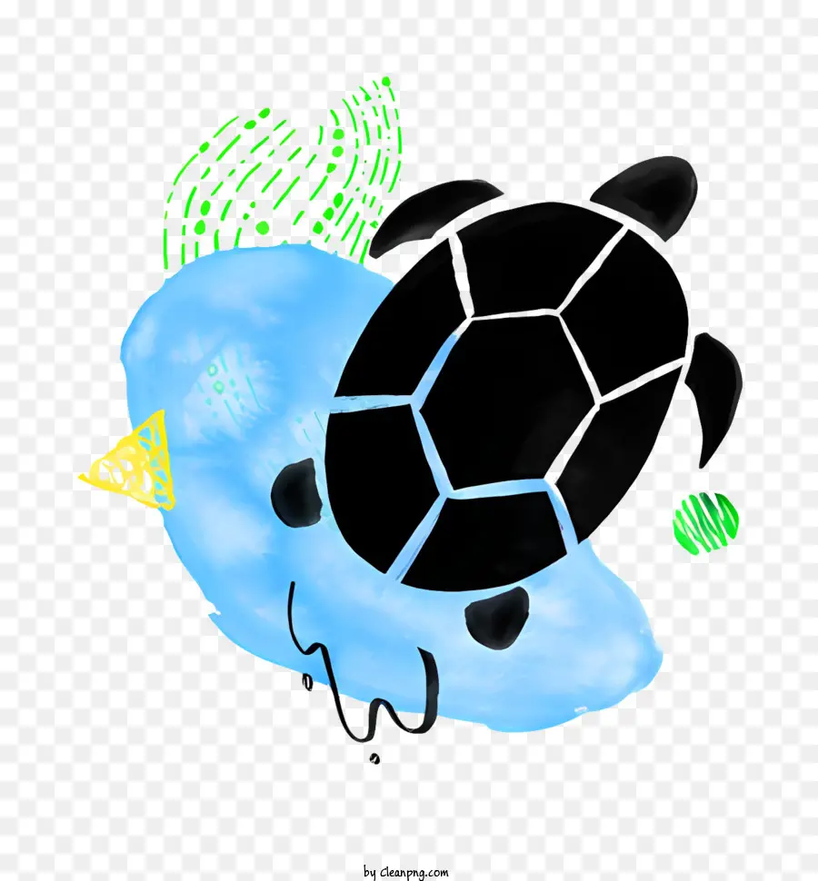 السلاحف الرسم，السلاحف السوداء والأزرق PNG