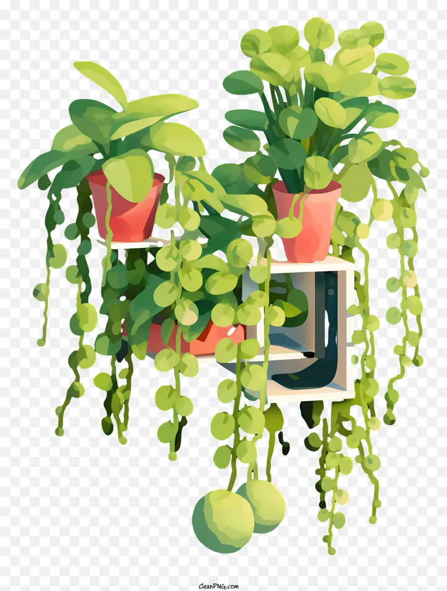 3d النبات，معلقة النباتات PNG