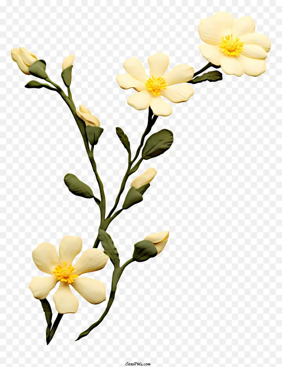 زهرة بيضاء，خمس بتلات PNG