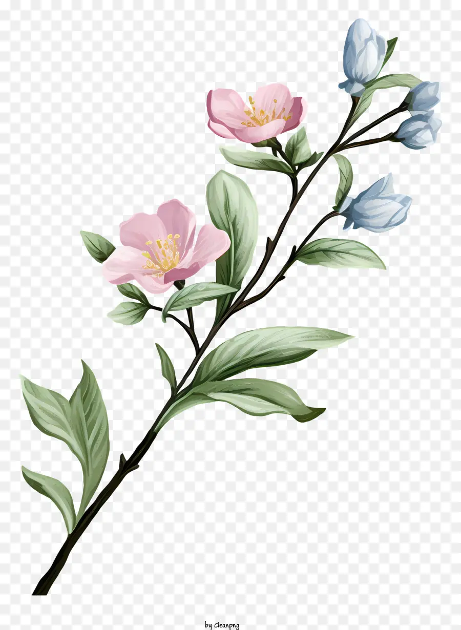 بيند فرع，الزهور الوردية PNG