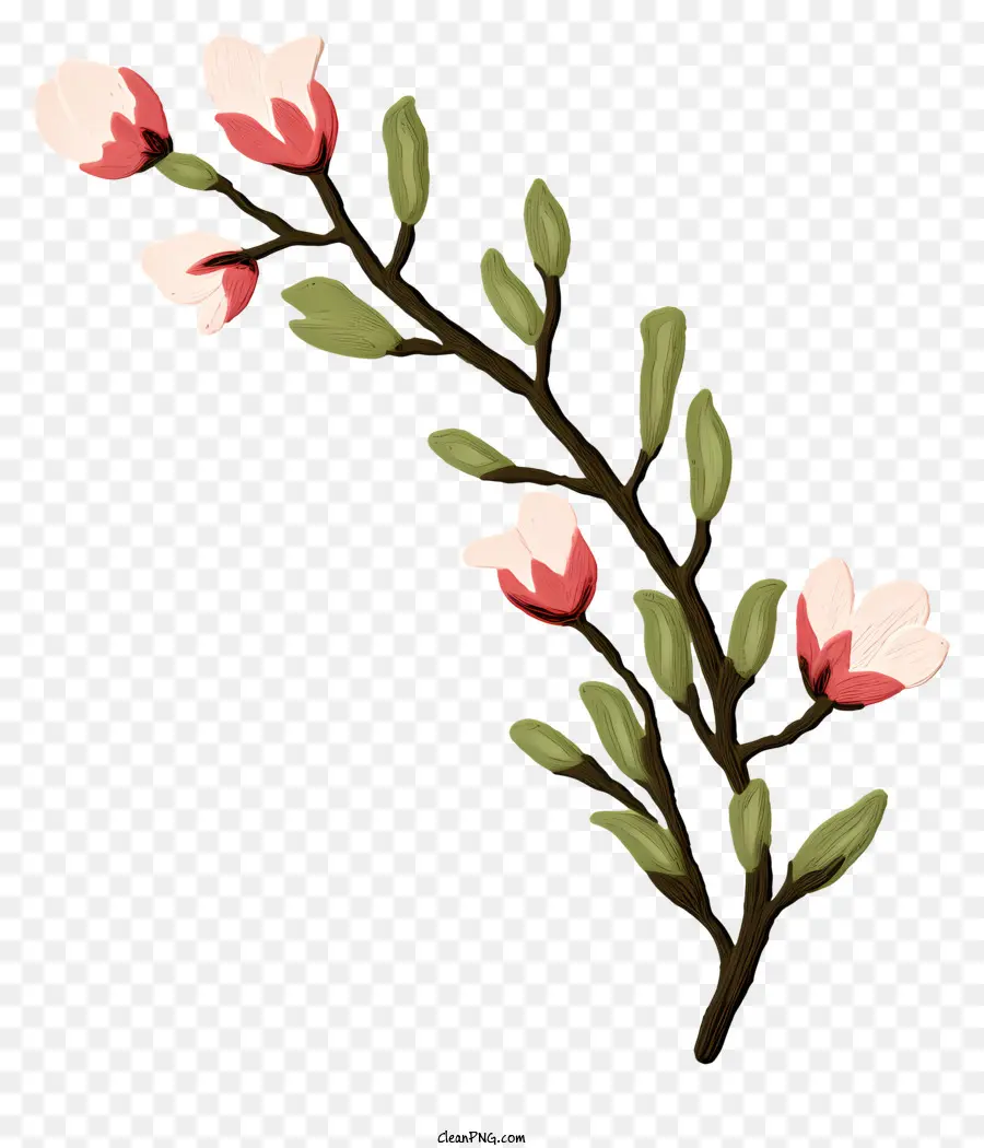 فرع，الزهور الوردية PNG
