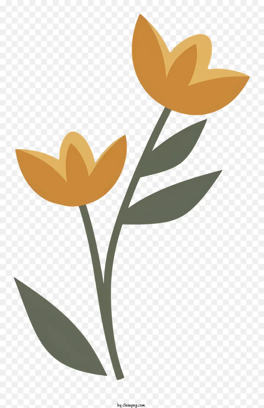 نبات مع الزهور，زهور البرتقال PNG