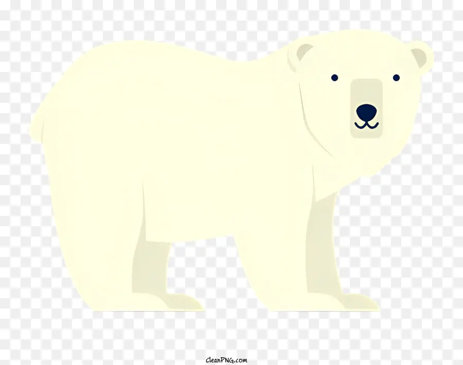 الكلمات الرئيسية الدب الأبيض，رجليه الخلفيتين PNG