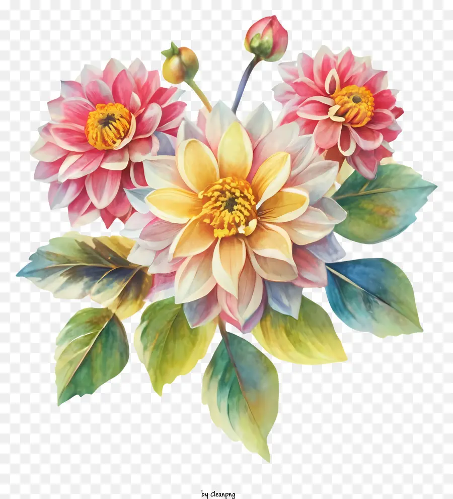 الرسم بالألوان المائية，زهور دال PNG