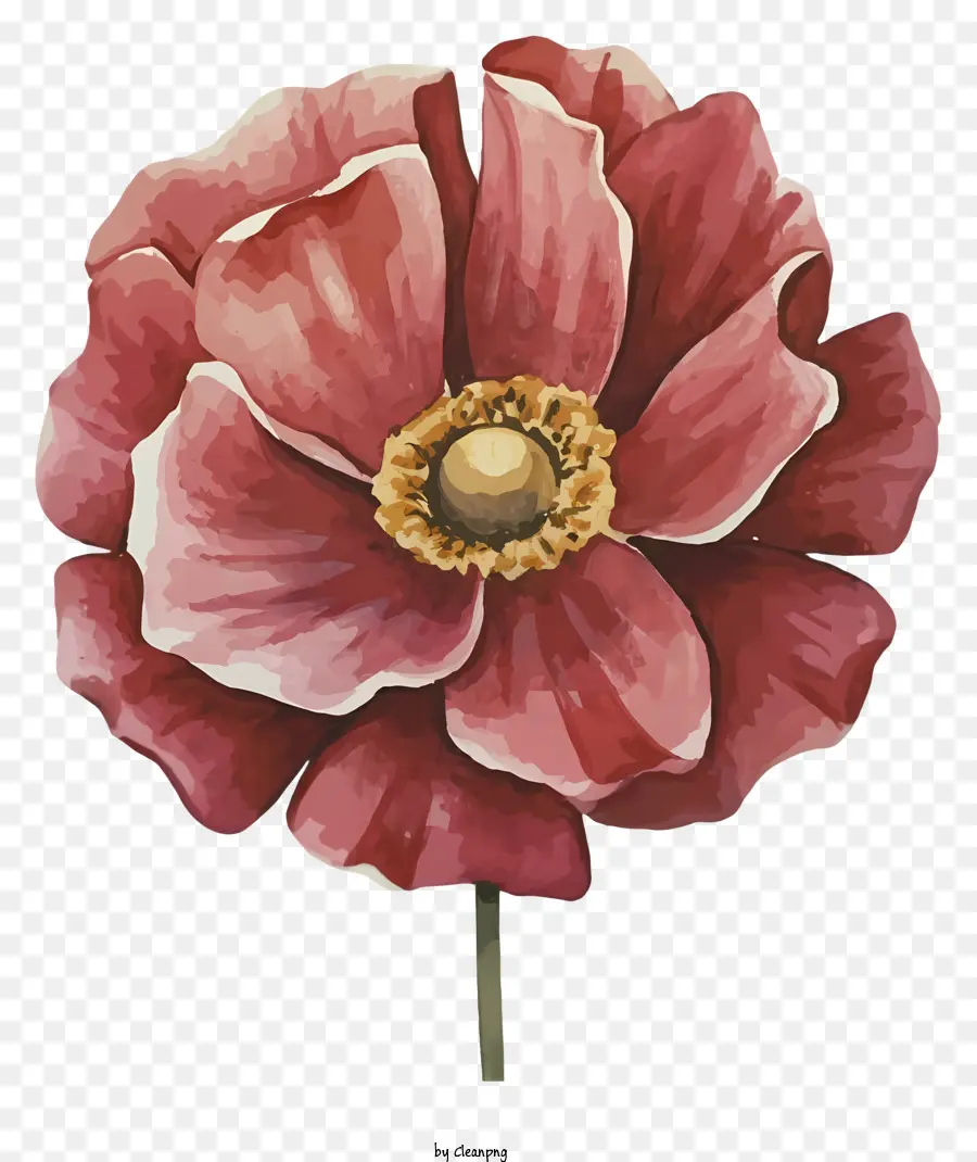 لوحة الخشخاش الوردي，زهرة اللوحة PNG