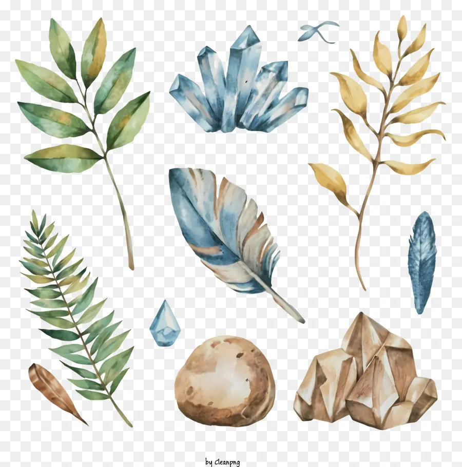 الرسوم التوضيحية بالألوان المائية，النباتات والمعادن PNG