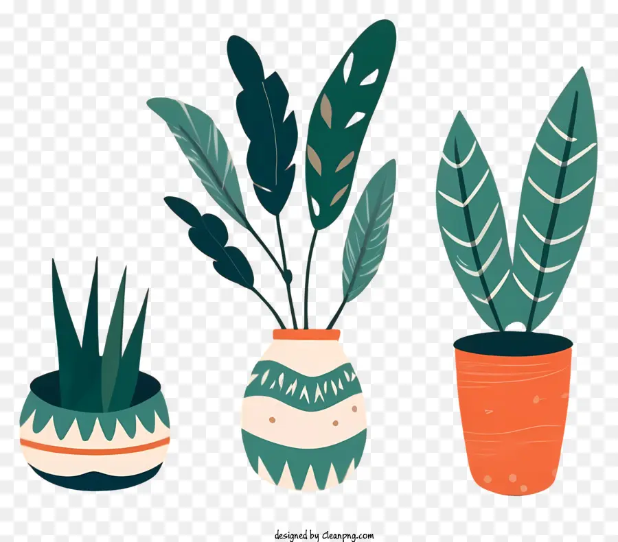 نباتات الأصص，النباتات الجوية PNG