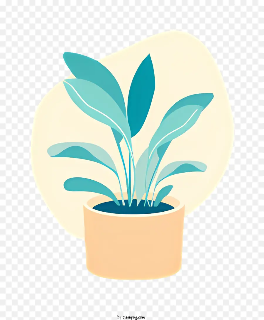 نبات عصاري，محفوظ بوعاء النباتات PNG