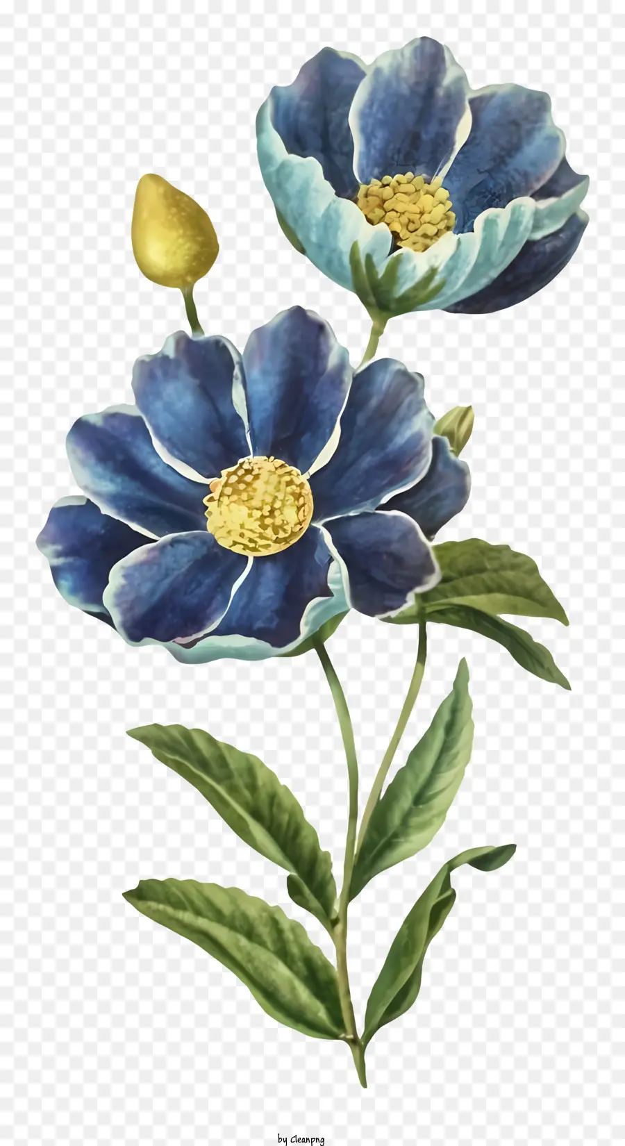الزهور الزرقاء，المراكز الصفراء PNG