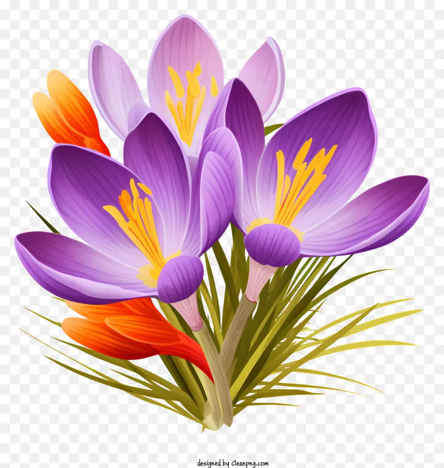 الزعانف الأرجواني，زهور الربيع PNG