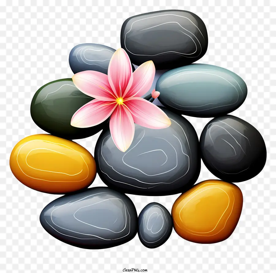 الحجارة الطبيعية，زهرة الوردي PNG