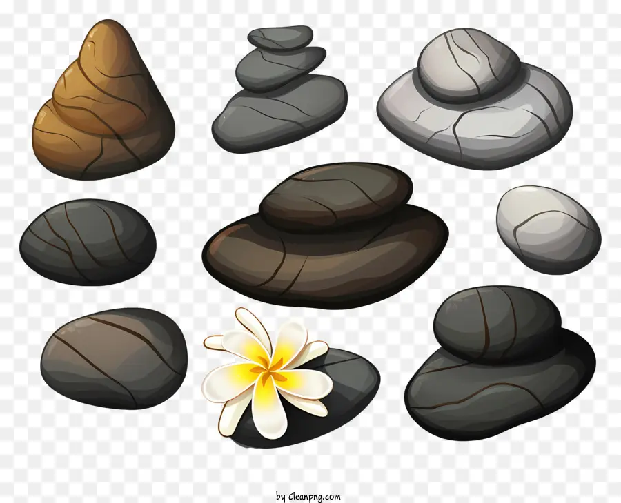 الحجارة，زهرة بيضاء PNG