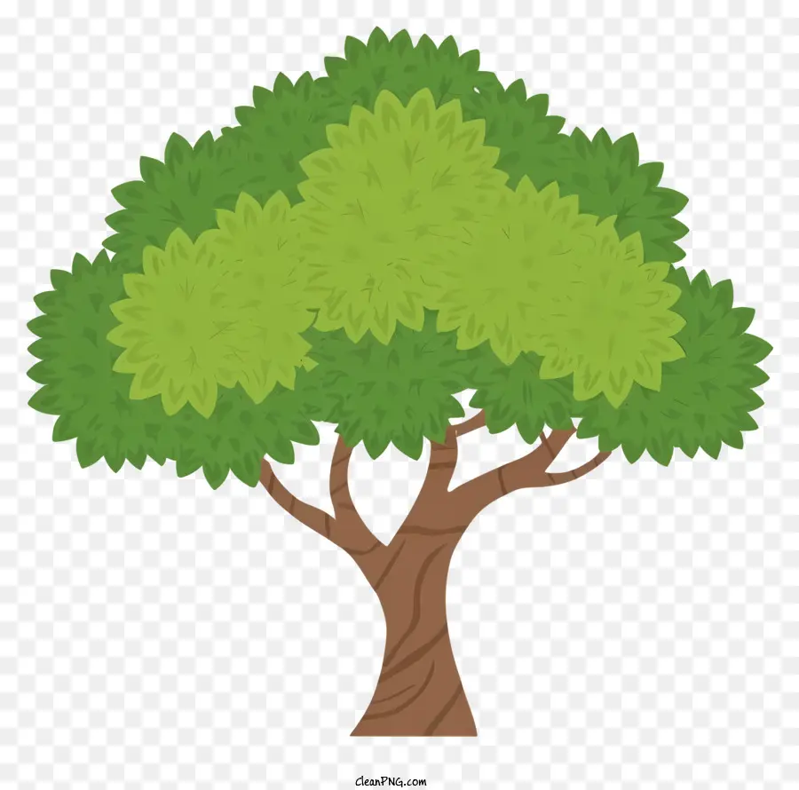 شجرة，أوراق PNG