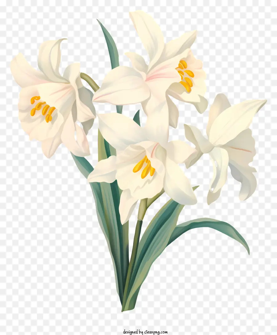 الزهور البيضاء，باقة PNG