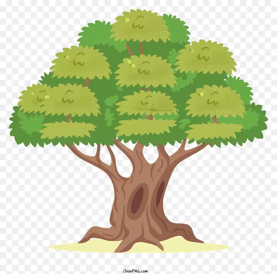 شجرة，الأوراق الخضراء ، PNG