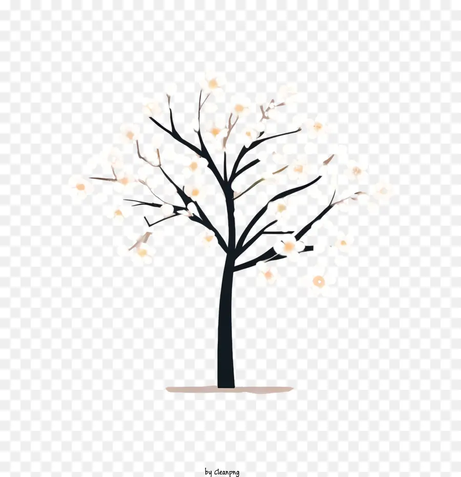 زهر الكرز شجرة，شجرة PNG