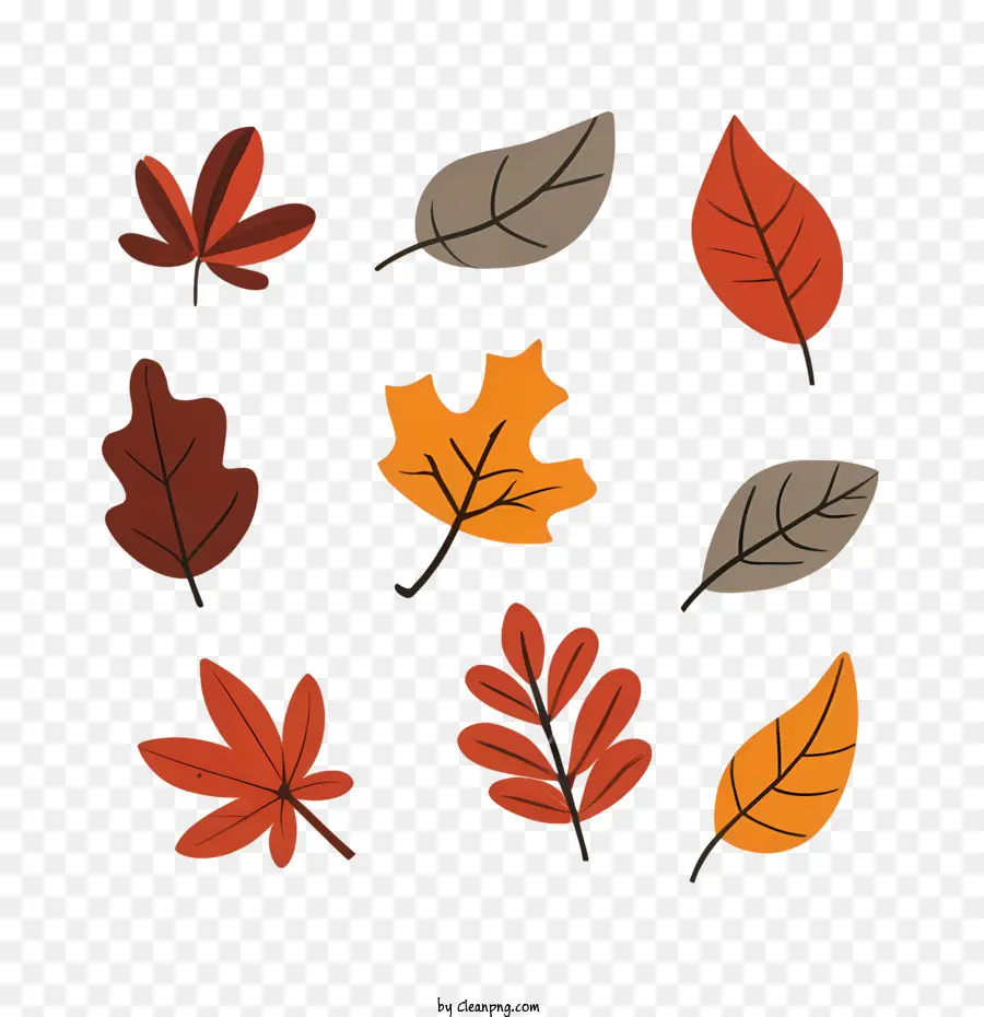 أوراق الخريف，أوراق ملونة PNG