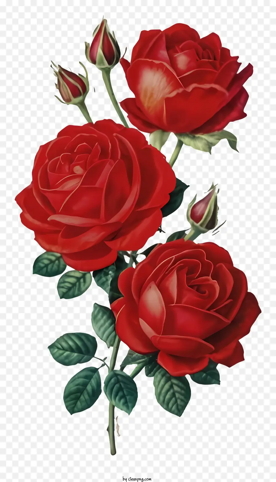 اللوحة，الورود الحمراء PNG