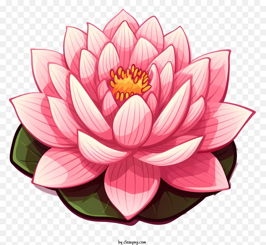 زهرة اللوتس الوردي，ورقة خضراء PNG