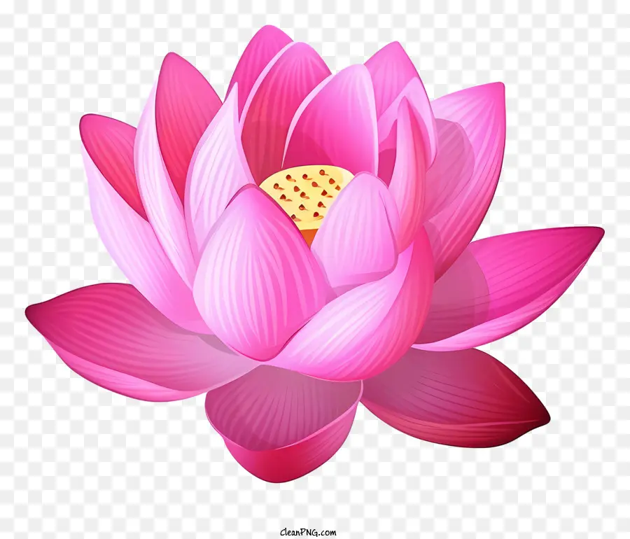 زهرة اللوتس الوردي，بتلة زهرة اللوتس PNG