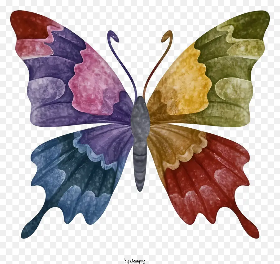 الفراشة الملونة，أجنحة متعددة الألوان PNG