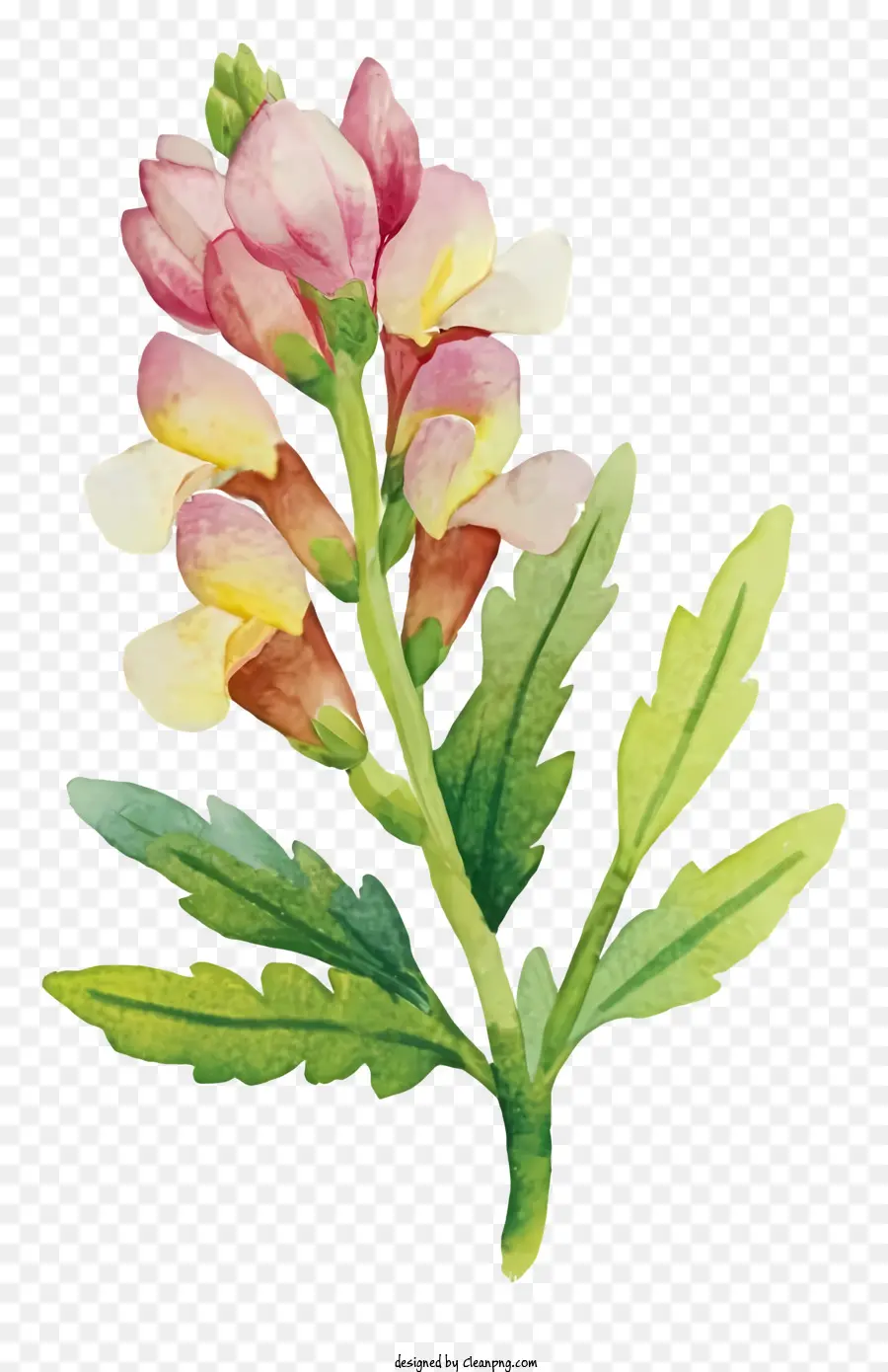 زهرة اللوحة，باقة من الزهور PNG