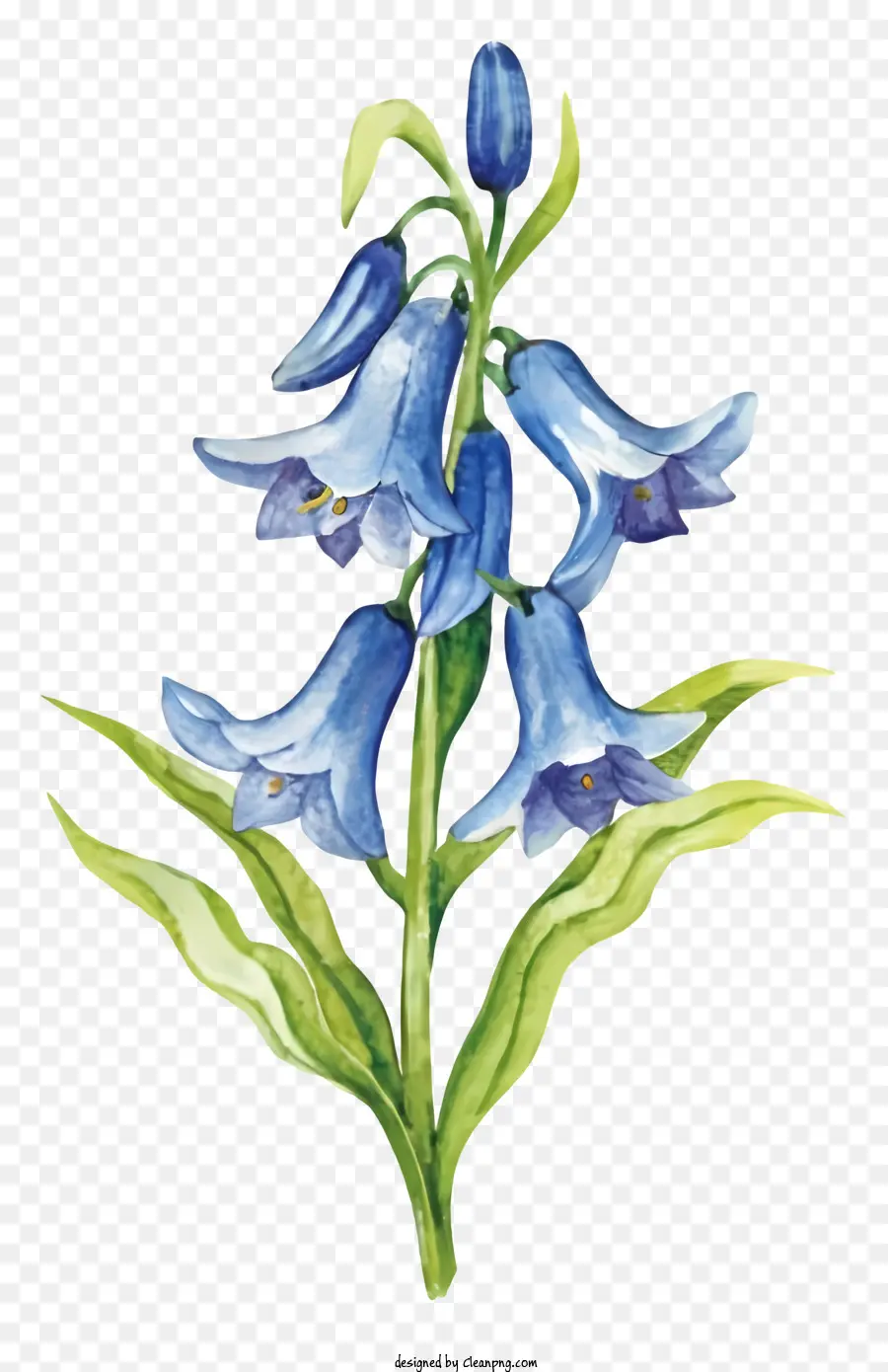 زهرة زرقاء，لوحة ألوان مائية PNG