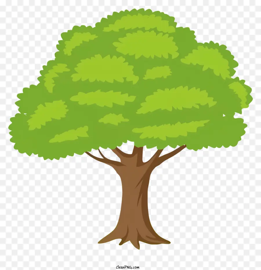 شجرة，المورقة PNG