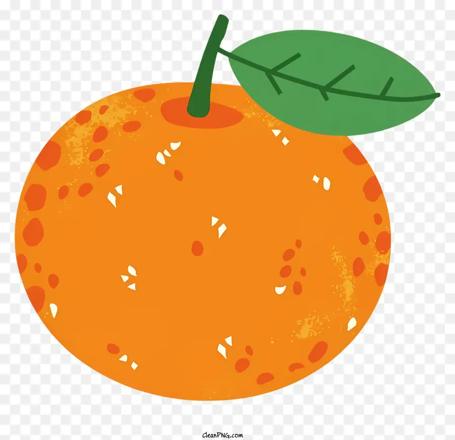 البرتقال，ورقة خضراء PNG