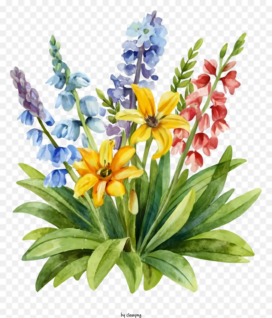 الزهور，الألوان PNG