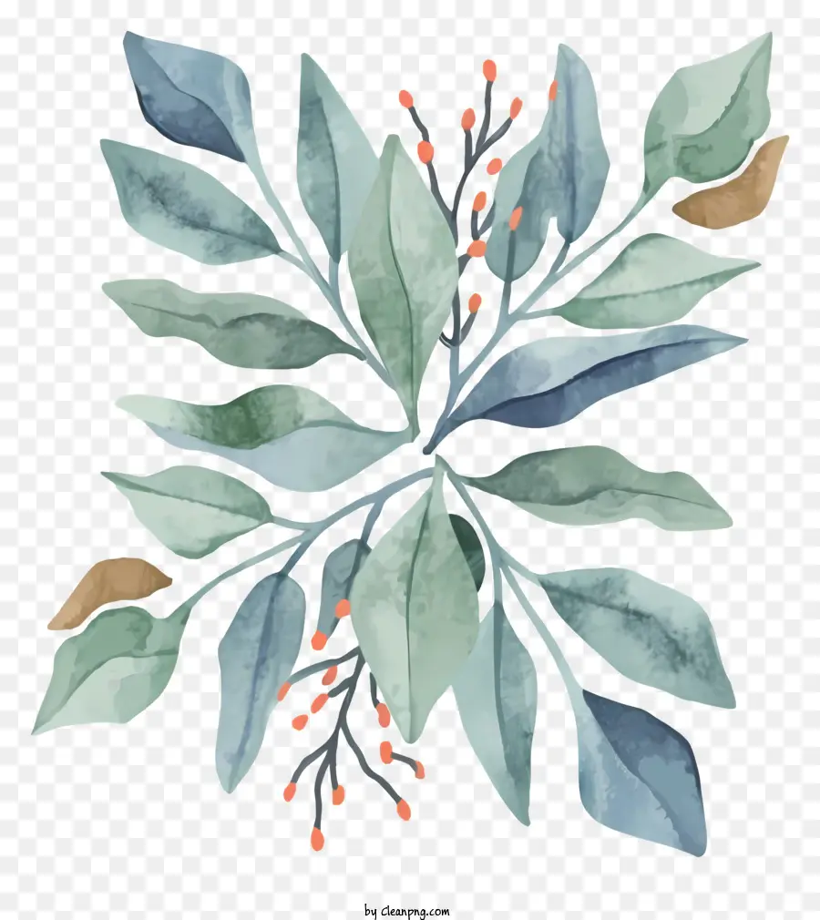 الرسم بالألوان المائية，نبات الورق PNG