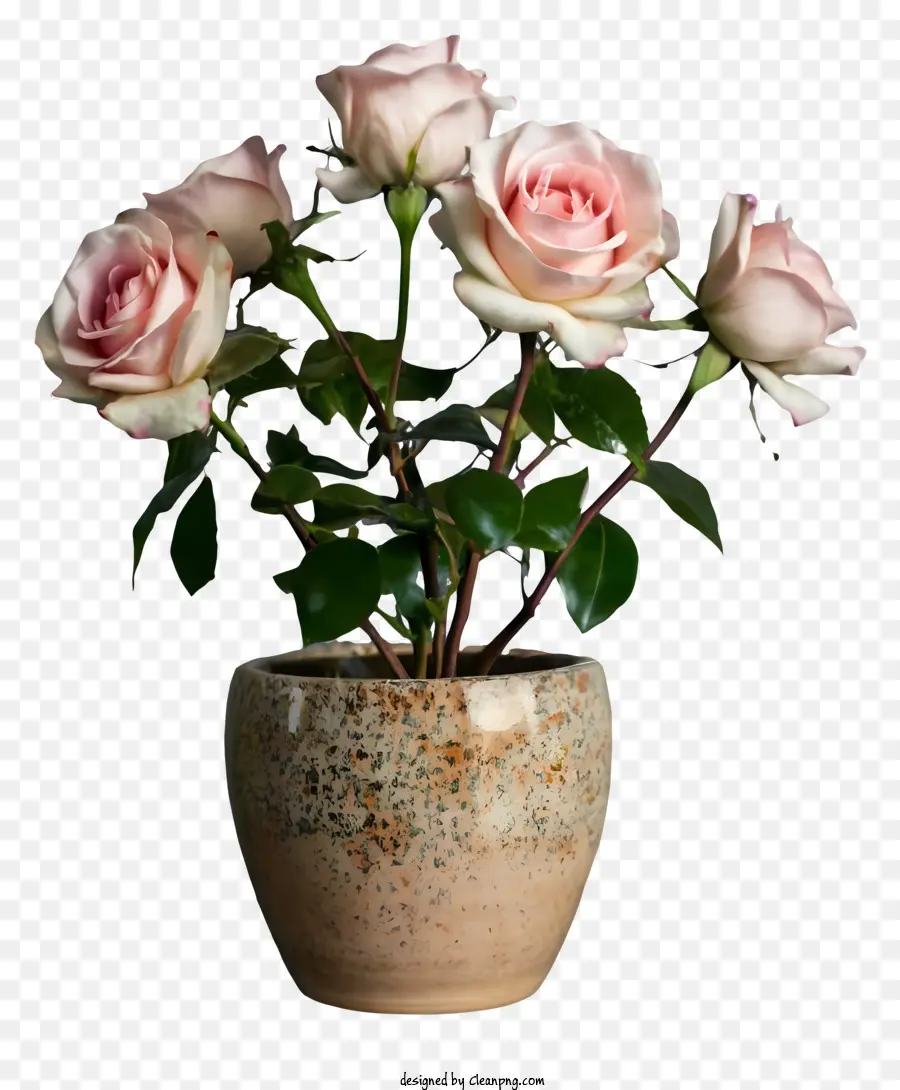 الوردي الورود，إناء صغير PNG
