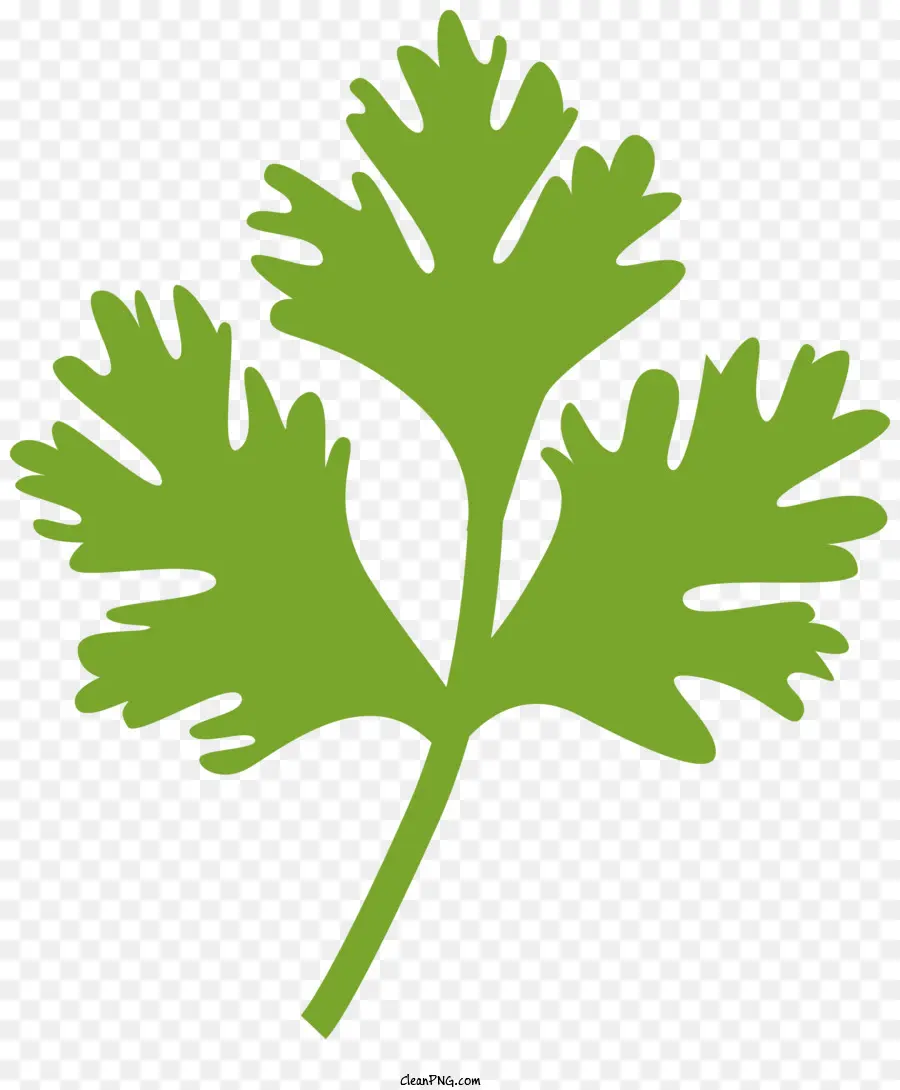 صورة ظلية نباتية，نبات الورق PNG
