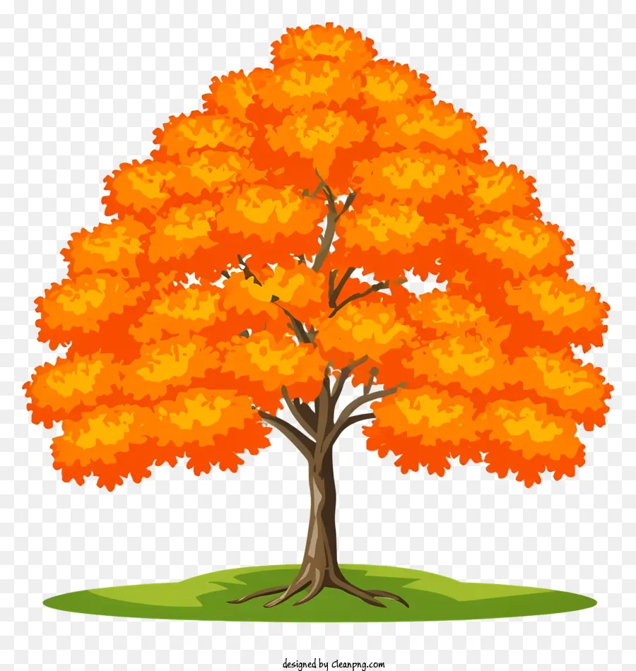 شجرة البرتقال，أوراق شجرة PNG