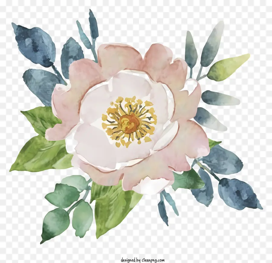 زهرة الوردي，زهرة مع الأوراق PNG