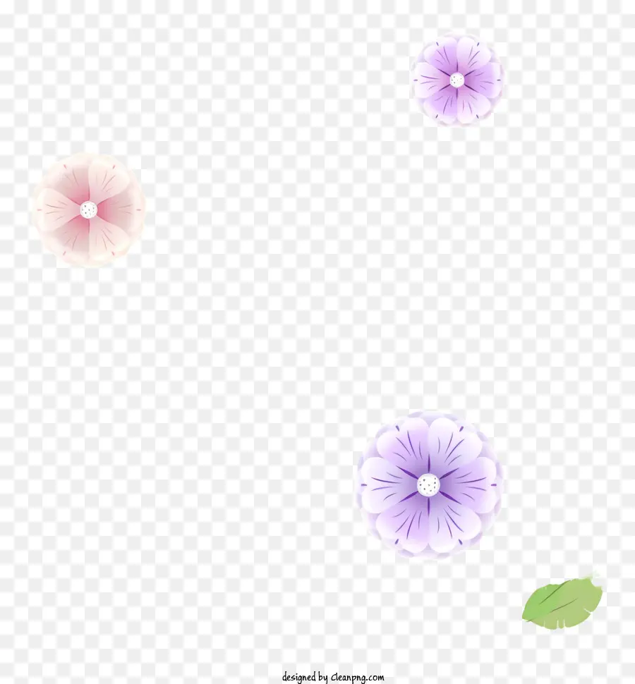 الزهور，الزهور البيضاء PNG