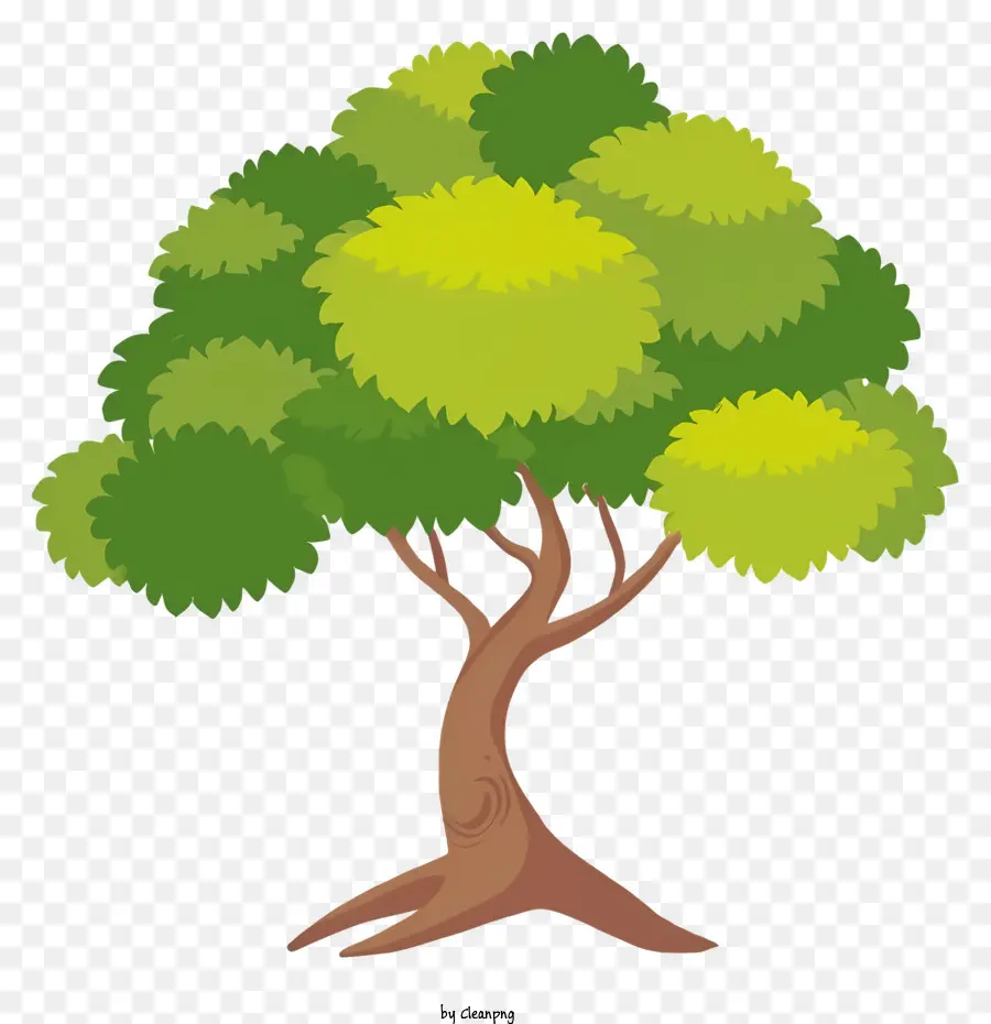 شجرة خضراء，أوراق PNG